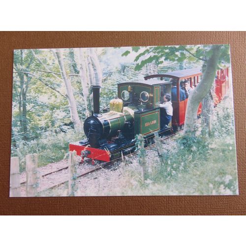 Groudle Glen Railway 'Sea Lion' Leaving Lhen Coan, Isle of Man Postcard