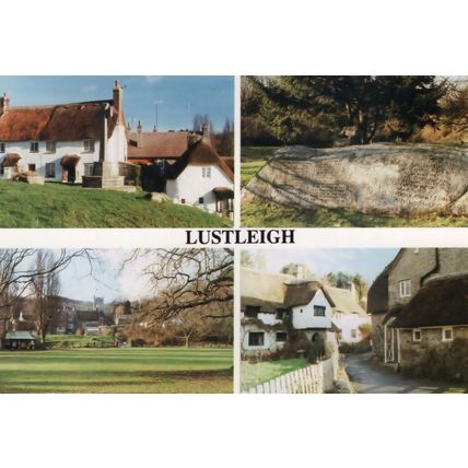 Lustleigh Cricket Pitch Devon Map Dairy Advertising Postcard