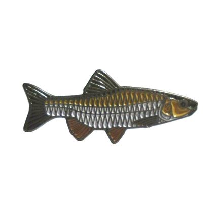Chub Freshwater Fish Angling Fisherman Pin Angler Enamel Metal Enamel Badge NEW