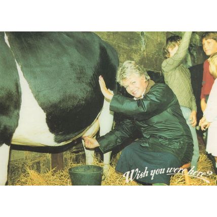 Milking A Cow at Clovelly Wish You Were Here Greetings Postcard