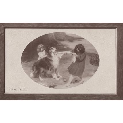 Come Along Dog Tug Of War Antique WW1 Real Photo Postcard