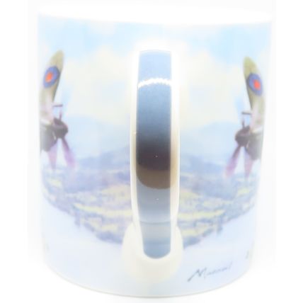 RAF Classic Airplane Fine China Mug 9.5 CM Gift Ceramic Tableware Gift Home