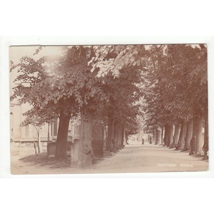 Swaffham Avenue Postcard 1905 RP Norfolk