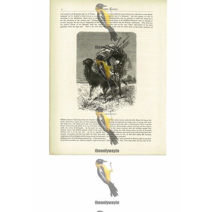 Camel Of A Tartar Emigrant, Dzungaria, Xinjiang China, Book Illustration, c1880