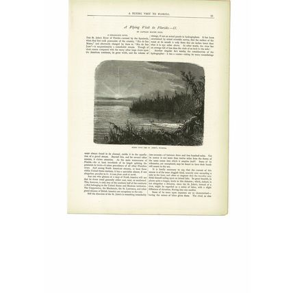 St John's River, Florida, USA, Book Illustration (Print), c1880