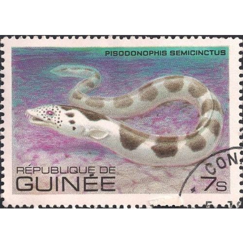 GUINEA, FISH, Pisodonophis semicincus, violet green 1980, 7s