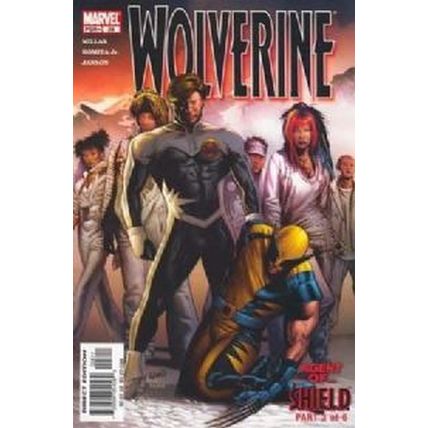 Wolverine (Vol 2) # 028 NM MODERN AGE COMICS