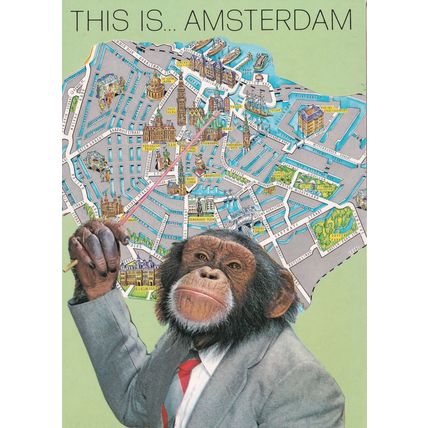 This Is Amsterdam Monkey Chimpanzee Map Rare Postcard