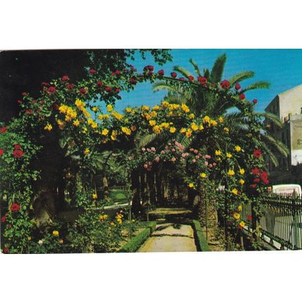 Murcia Jardin Floridablanca Spain Postcard unused mark on face