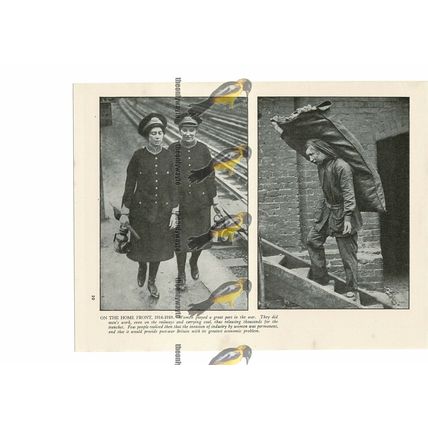 Women on The Home Front 1914-18, Book Illustration (Print) 1935