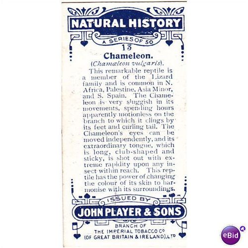 Players Natural History Card No. 13 Chameleon