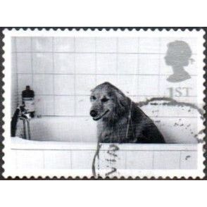 2001 Cats And Dogs.1st Value. Dog in Bath.. Very Fine Used