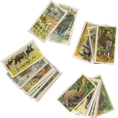 AFRICAN WILD LIFE Brooke Bond Tea cards full set of cards. loose... =