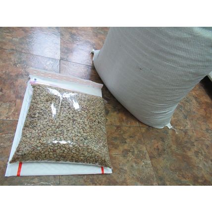 5 LB Green Unroasted Coffee Beans Costa Rica Red Honey GESHA GEISHA MICROLOT '22