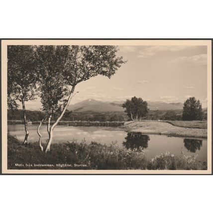 Motiv Från Badammen, Högfjället, Storlien, c.1950 - Roting Foto Vykort