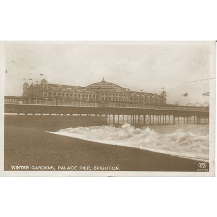 PC23228 Winter Gardens. Palace Pier. Brighton. 1916