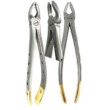 2Pcs German Premium Dental Extracting Forceps F1 Upper Universal with Gold Handl