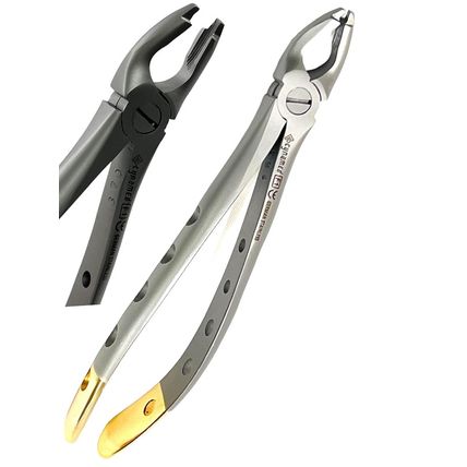 2Pcs German Premium Dental Extracting Forceps F1 Upper Universal with Gold Handl