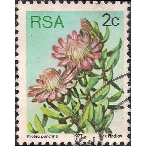 SOUTH AFRICA, FLOWERS, Protea punctata, blue 1977, 2c