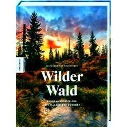 Wilder Wald
