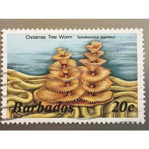 Barbados 1985 Marine Life 20c Christmas Tree Worm Used SG 767A Sc 645 stamp