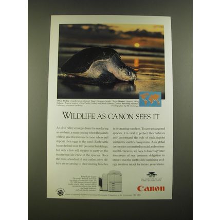 1995 Canon CLC 800 Copier Ad - Olive Ridley - Wildlife as Canon sees it