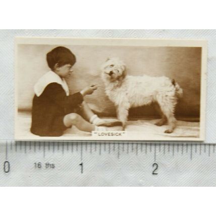 1932 De Reszke Real Photos 3rd series No. 21 Lovesick - dog