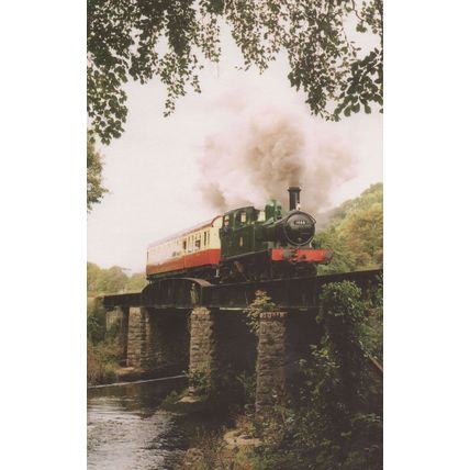 B58 Nursey Pool Bridge 1466 Autocoach W228W Buckfastleigh Train Postcard