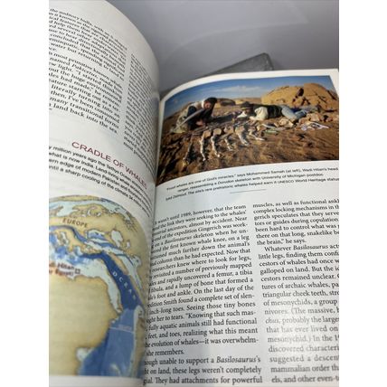 National Geographic Magazine August 2010 Bahamas Blue Holes Collectable