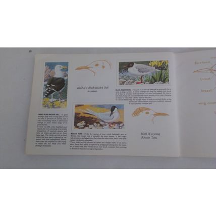 BROOKE BOND BIRD PORTRAITS 1957 FULL SET IN ALBUM VG condition