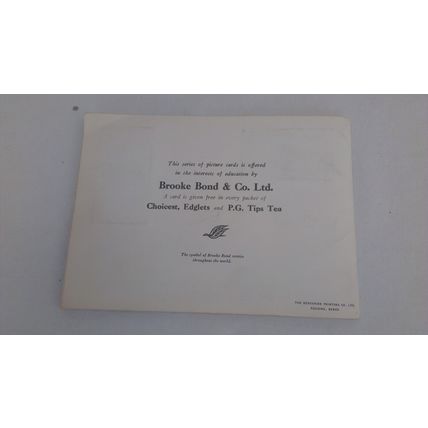 BROOKE BOND BIRD PORTRAITS 1957 FULL SET IN ALBUM VG condition