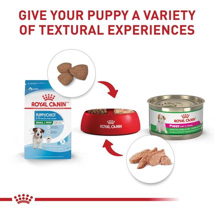 Royal Canin Size Health Nutrition Small Breed Dry Puppy Food, Supports Brain Dev