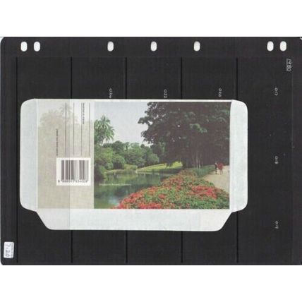 Singapore Aerogramme Botanic Gardens Unused VGC