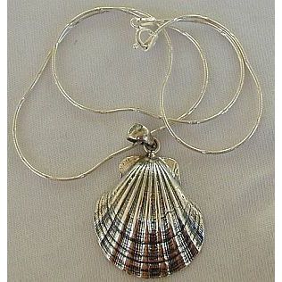 Shell pendant