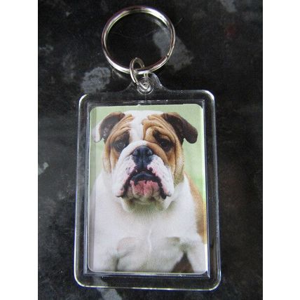 DOG BREED KEY RINGS QUALITY ACRYLIC DOUBLE SIDED PHOTO KEY RINGS 33 BREEDS