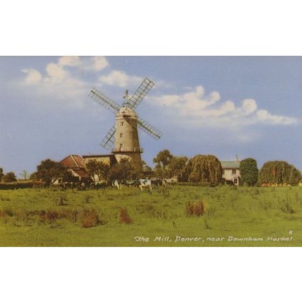 Downham Market Mill Norfolk Postcard