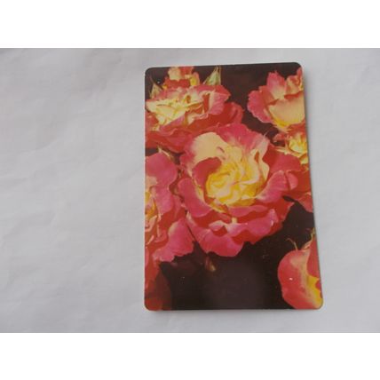 WEBBS GARDENING CARDS (ROSES) NO 2 (24/12) POST O.SEAS