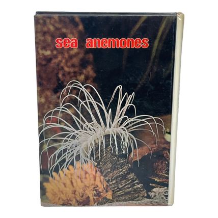 Sea Anemones By U. Erich Friese - Hardcover TFH Publications 1972 Pre-owned