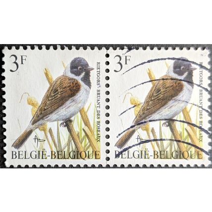 STAMP Belgium SG3076 Pair 1991 3Fr Birds Reed Bunting Used
