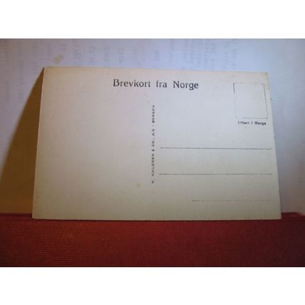 HOTEL STALHEIM, NORWAY unused vintage postcard =