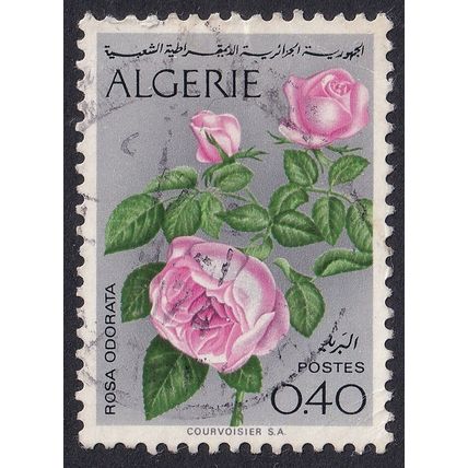 Algeria 1969 SG 494 Used - Flora/Flowers (E-649 (2))