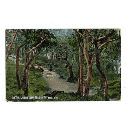 In The Landslip, Isle Of Wight, Postcard.