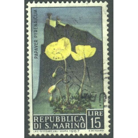 San Marino 1967 - SG817 - 15L - Pyrenean Poppy - used