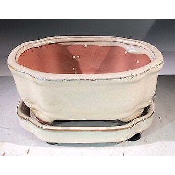 "Beige Ceramic Bonsai Pot -RectangleWith Humidity Drip Tray6"" x 5"" x 2.5"""