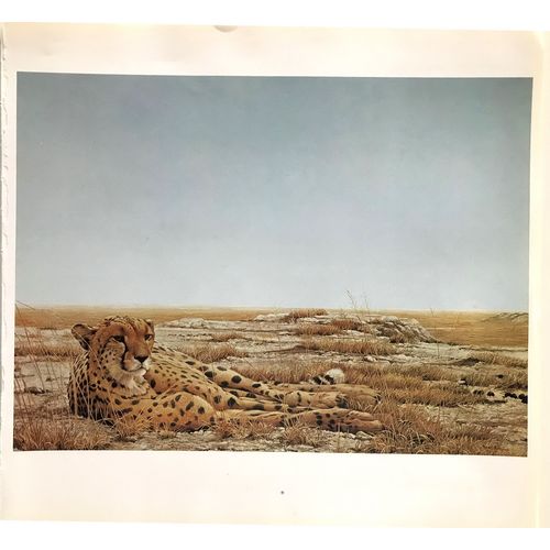 Robert Bateman Cheetah Siesta Vintage Print Poster Wall Art Decor wildlife Cat