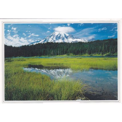 Mount Rainier Washington United States Geetings card used VGC