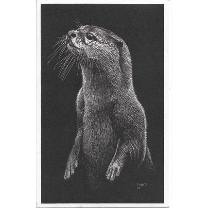 Otter - World Wildlife Fund Postcard