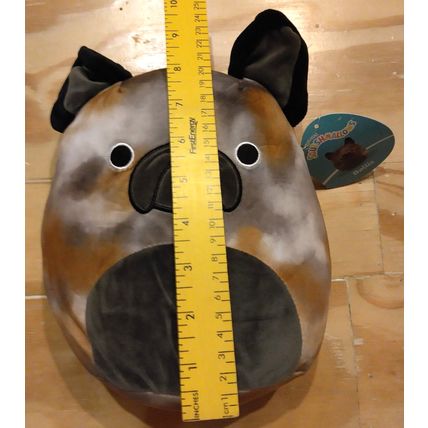 Squishmallows 8" Ballis the French Bulldog Plush Stuffed Animal NWT Rare Size