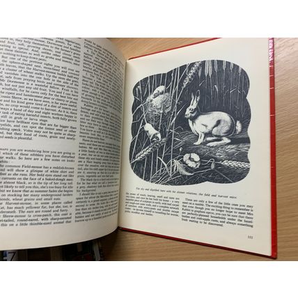c1955 "SWIFT ANNUAL NUMBER 2" ILLUSTRATED ANNUAL HARDBACK BOOK (P4)