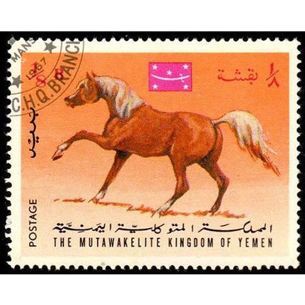 Yemen 1967 Arab Horse 1/8B Used Stamp